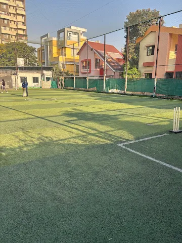 Turf main photo