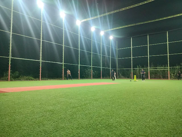Turf photo 2
