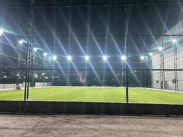 Turf photo 2