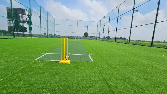 Turf main photo