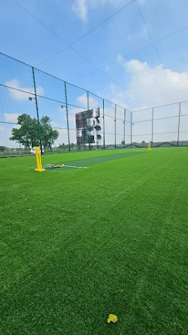 Turf photo 2