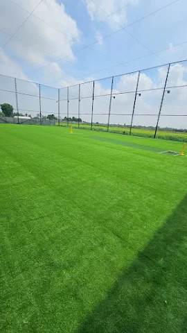Turf photo 4