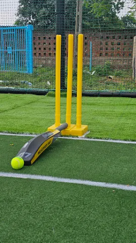 Turf photo 5