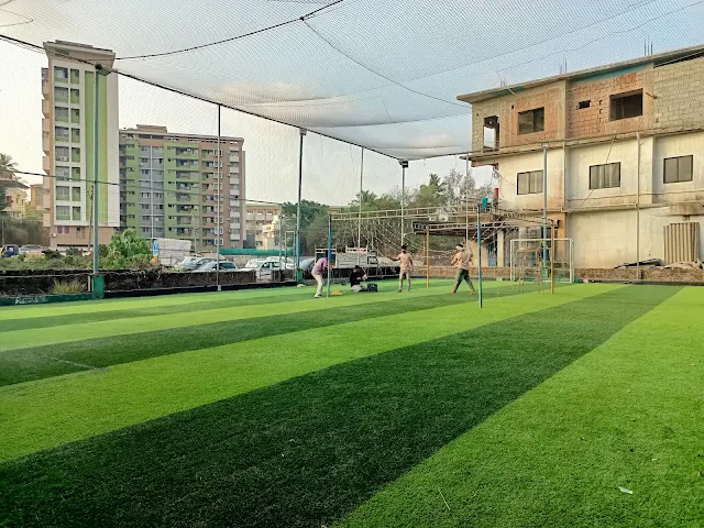 Turf photo 2
