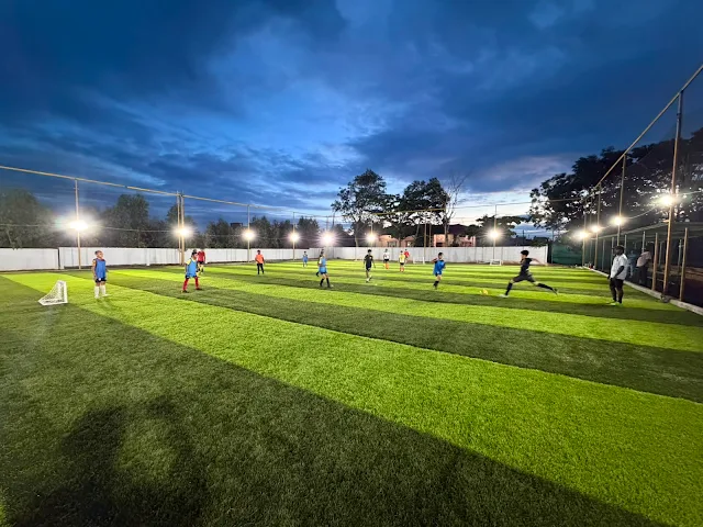 Turf main photo