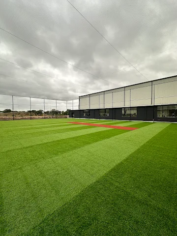 Turf photo 5