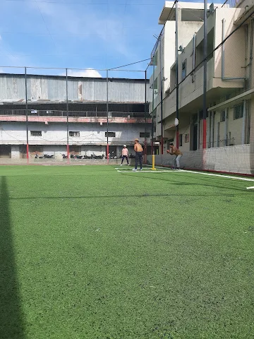 Turf photo 4