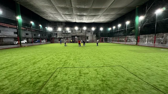 Turf photo 2