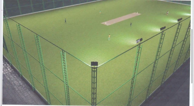 Turf photo 2