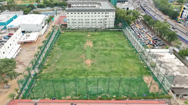 Turf main photo