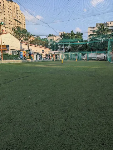 Turf photo 9