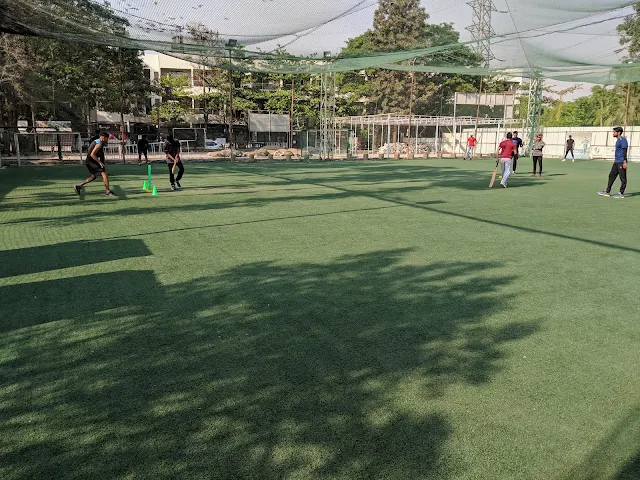Turf photo 6