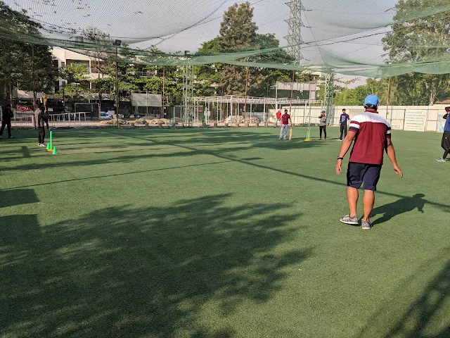 Turf photo 7
