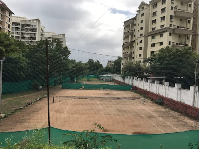 Turf photo 4