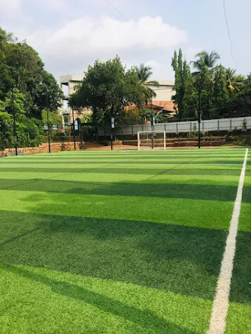 Turf photo 5