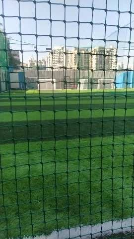 Turf photo 4