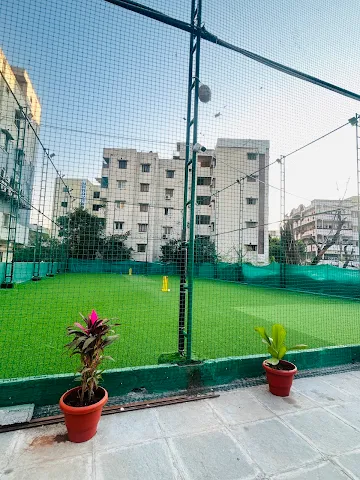 Turf photo 4