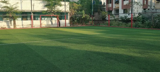 Turf photo 3