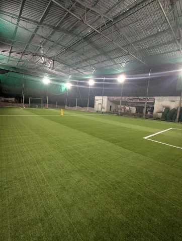 Turf photo 3