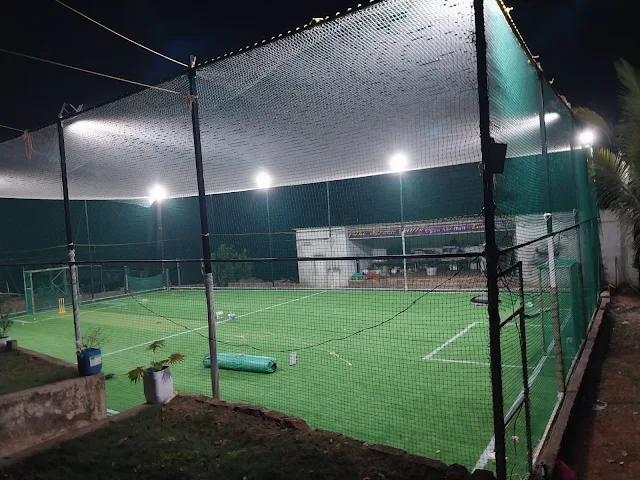 Turf photo 4