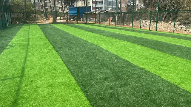 Turf photo 3