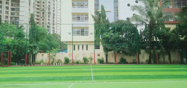 Turf photo 3