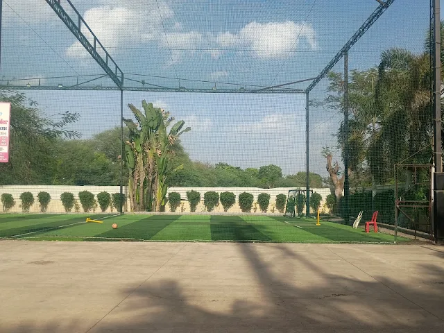 Turf photo 2
