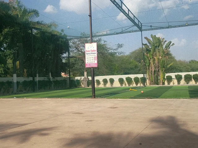Turf photo 5