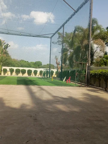 Turf photo 6