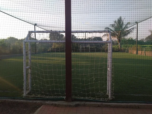 Turf photo 4