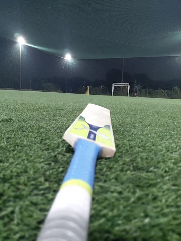 Turf photo 3