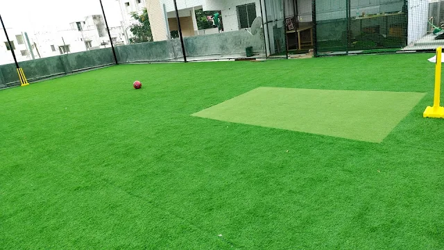 Turf photo 5