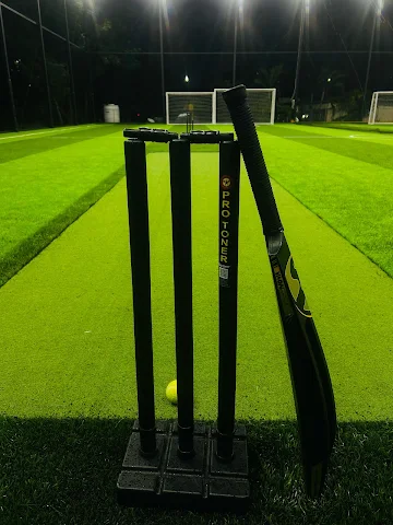 Turf photo 7