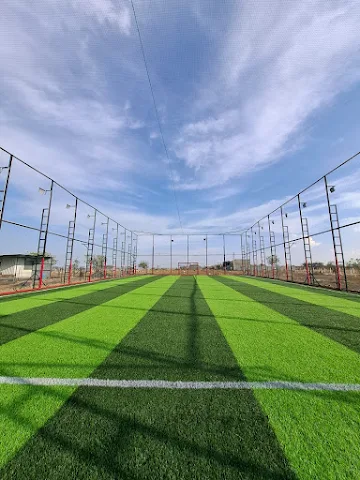 Turf photo 2
