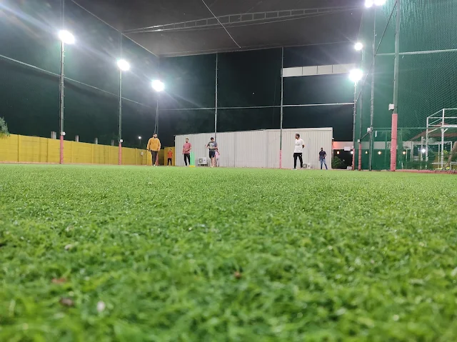 Turf photo 2