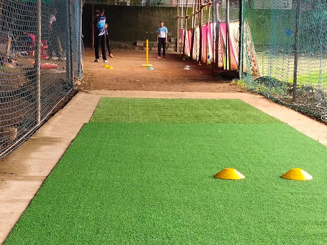 Turf photo 3