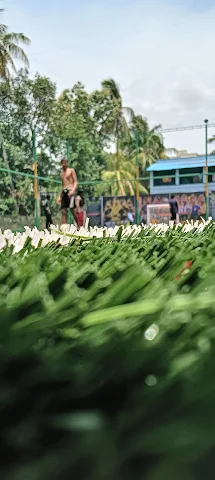 Turf photo 4