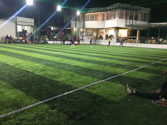 Turf main photo