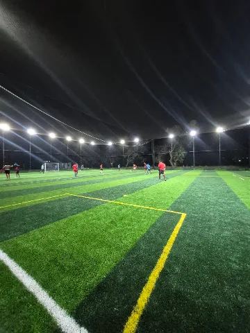 Turf photo 3