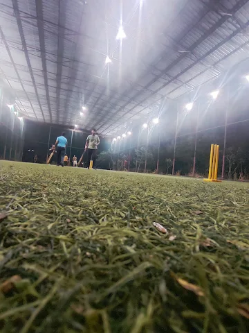 Turf photo 3
