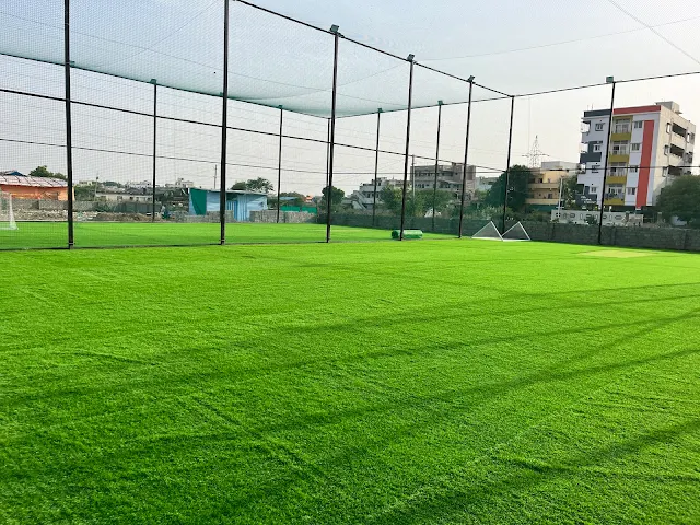 Turf photo 9