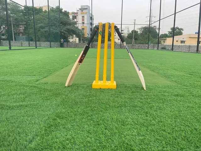 Turf main photo