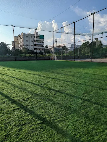 Turf photo 7