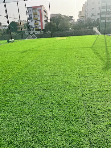 Turf photo 8