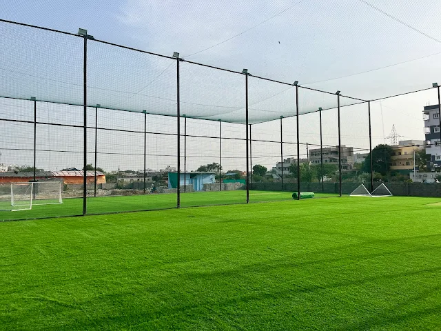 Turf photo 4