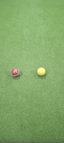 Turf photo 5