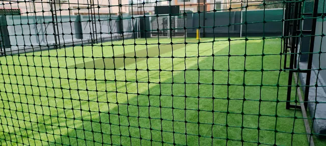 Turf photo 7