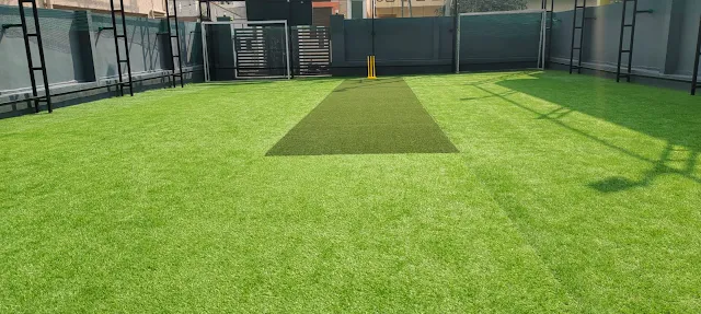 Turf photo 2