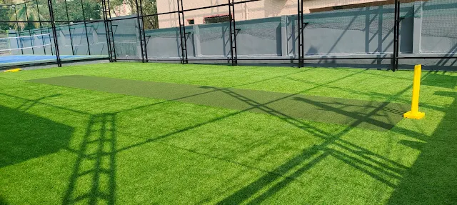 Turf photo 6