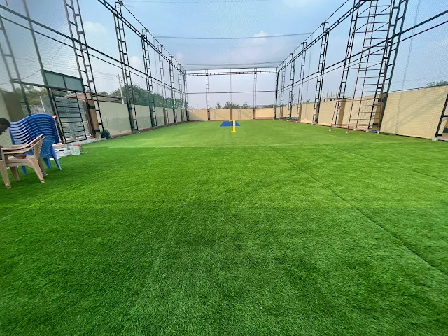 Turf photo 4